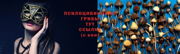 jwh Ельня