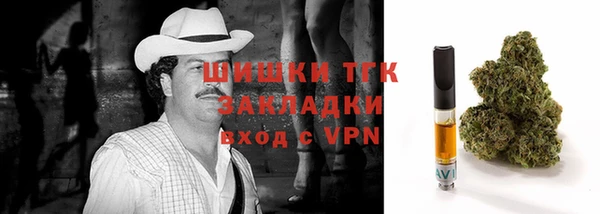 jwh Ельня