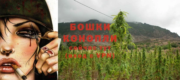 jwh Ельня