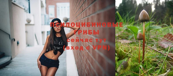 jwh Ельня