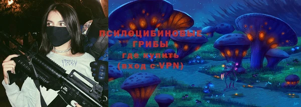 прущие крисы Елабуга