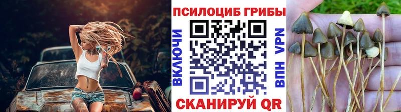 Купить закладки  Княгинино  Галлюциногенные грибы ЛСД 